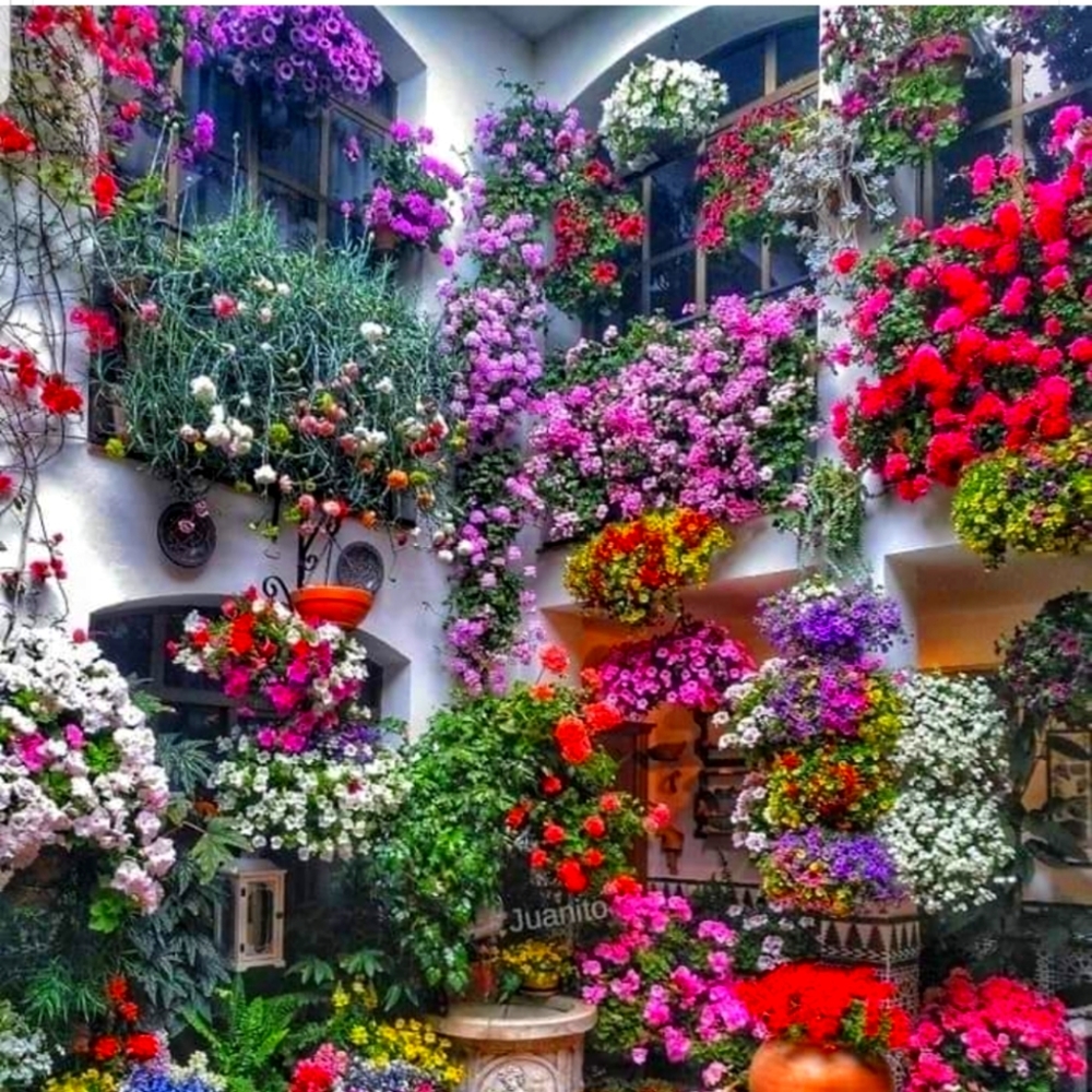 Meet your Posher, Jill